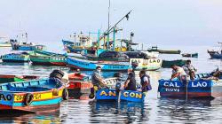 Renovarán infraestructura de las pesqueras artesanales