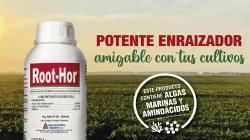 Roothor promueve el desarrollo de un sistema radicular fuerte y saludable en las plantas, absorbiendo nutrientes y agua de manera más eficiente