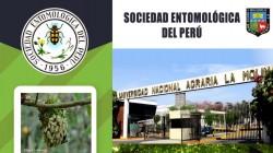 Se viene la LXV Convención Nacional de Entomología