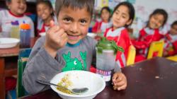 Seguridad alimentaria y nutricional: tarea de todos