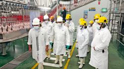 Senacsa Paraguay inspeccionó centros de faenamiento de aves en Lima e Ica