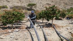 Sequía por segundo año conscutivo pone en peligro la seguridad alimentaria en costa y sierra de Áncash