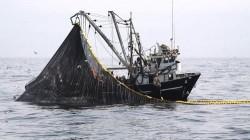 Sostenibilidad de pesca peruana es por trabajo coordinado de sector público y privado