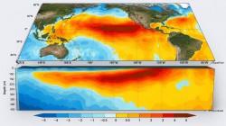 "Submarino" de calor que viene del Pacífico: advierten sobre invierno cálido y fin de la estacionalidad tradicional