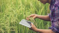 Tres pilares para impulsar la competitividad del agro peruano