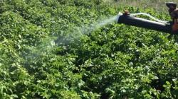 Unión Europea adopta nueva legislación para etiquetado de fertilizantes