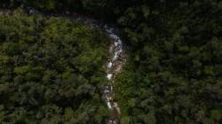 Urgen la creación de área protegida en Oxapampa ante amenazas de crisis hídrica y deforestación