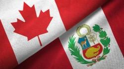 Uva y café lideraron las agroexportaciones peruanas a Canadá en 2023