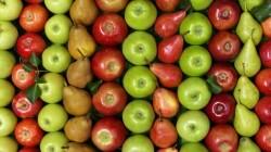 Wapa: existencias europeas de manzanas subieron 7% en junio de 2024