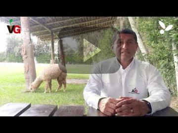 Viveros Génesis, el estándar de crecimiento para la agricultura peruana (VIDEO)