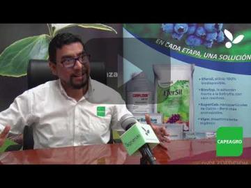 “Capeagro y sus soluciones de bionanotecnología”