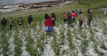 Heladas persistirán en la Sierra con impacto negativo en sector agropecuario