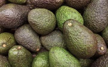 ProHass recorta proyección de exportaciones de palta Hass a 598.344 toneladas en 2023, lo que significaría un aumento de +8% frente a 2022