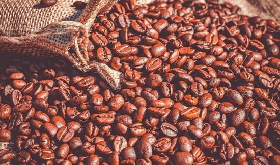 Café orgánico concentró el 16.1% de las exportaciones totales de café