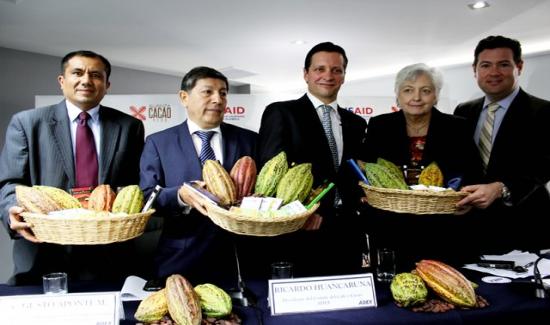 PerÚ Se ConvertirÍa En Primer Productor Mundial De Cacao Fino A Mediano Plazo 5365