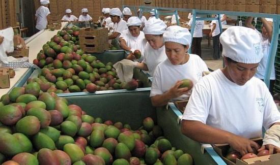 Sector agropecuario sostiene el crecimiento del empleo formal en el sector privado