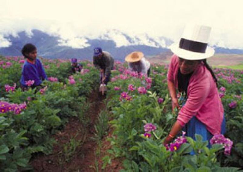 “LA AGRICULTURA ES CLAVE EN CONSERVACIÓN DEL MEDIO AMBIENTE”