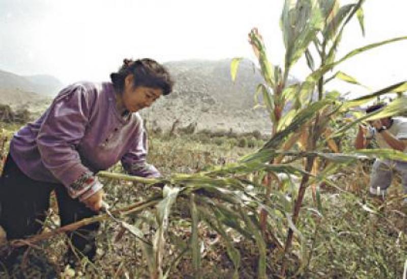 “PROHIBICIÓN DE TRANSGÉNICOS ES LAMENTABLE Y SIN FUNDAMENTO”