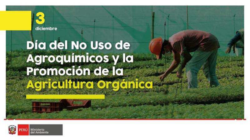 100 mil personas mueren al año por el uso de pesticidas y unas 200.000 personas anualmente son intoxicadas de forma aguda por uso de  plaguicidas en agricultura y ganadería