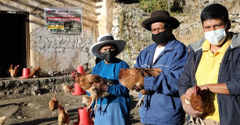 334.095 familias rurales de 23 regiones aprendieron a ser autónomas con Haku Wiñay y Noa Jayatai