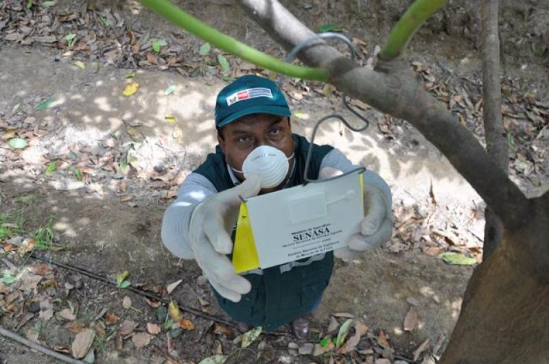 5.312 agricultores se beneficiarán con Proyecto de Erradicación de Mosca de la Fruta