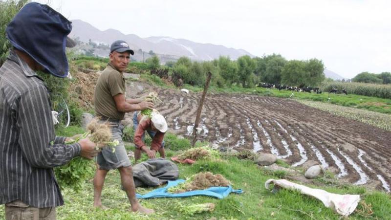 5.890 organizaciones de usuarios de agua corren riesgo de no participar como núcleos ejecutores