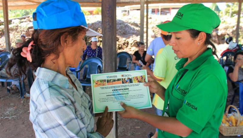 500 cacaoteros de Puerto Inca se gradúan en escuelas de campo