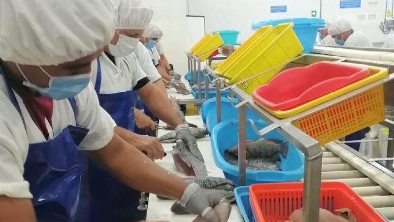 65 profesionales son capacitados en exportación de productos pesqueros y acuícolas