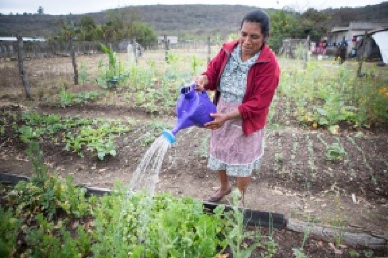 79 DE 100 MUJERES DEL ÁREA RURAL CUENTAN CON SEGURO DE SALUD