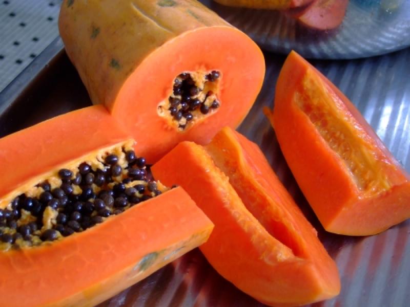 90% DE LA SIEMBRA DE PAPAYA ESTÁ INFECTADA CON PLAGA 