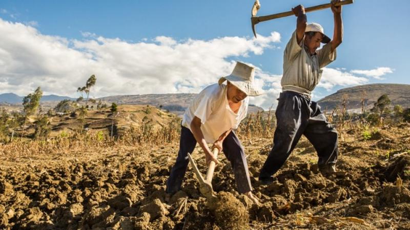 A la fecha, el Midagri ha ejecutado el 63.6% de su presupuesto de este año