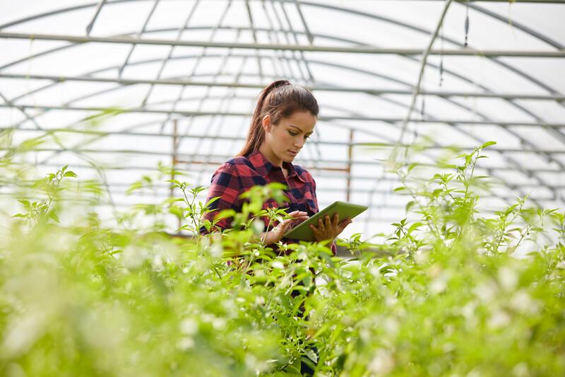 ABB: Reforma digital en el agro aumentaría en 45% la productividad del sector