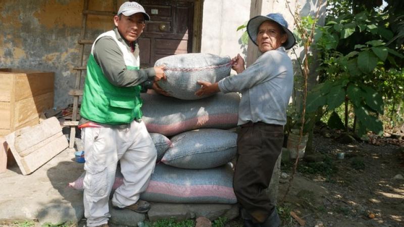 Abonos orgánicos mejorarán 299 hectáreas de suelos cultivables en Cusco