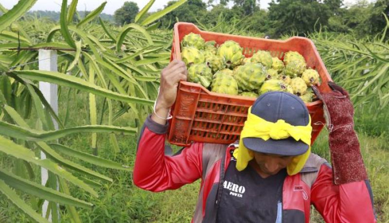 Acuerdo comercial entre Ecuador y China entrará en vigencia el 1 de mayo