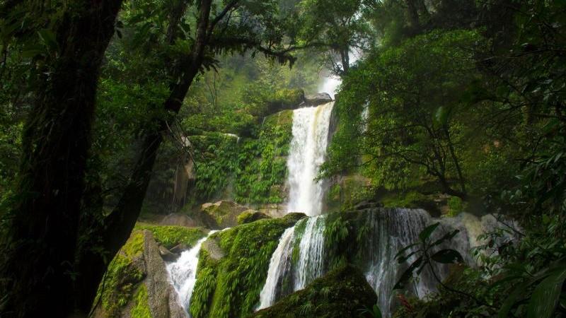 Acuerdo entre Perú y Singapur impulsará el desarrollo de proyectos de carbono