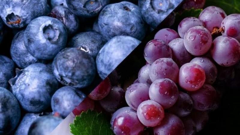 ADEX: agroexportaciones peruanas sumaron US$ 2.883.968.428 en primer trimestre del 2025, mostrando un crecimiento de 21.23%