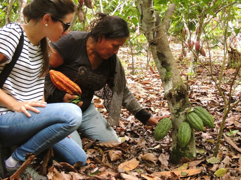 ADEX: Agroindustria generó más de 1 millón de  empleos durante el 2017