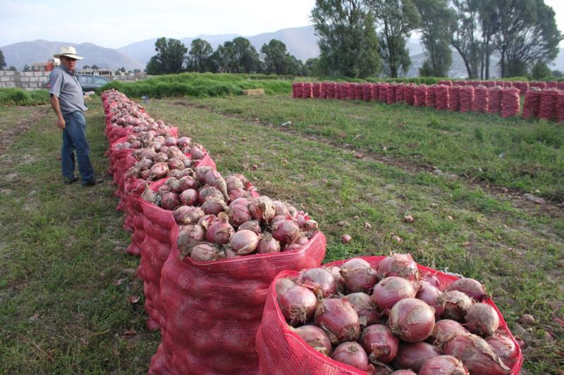 ADEX busca dinamizar comercio Perú-Ecuador