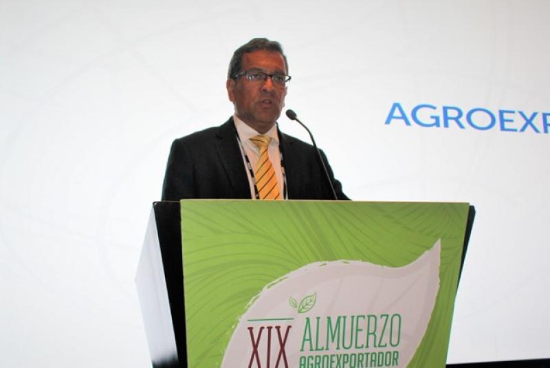 ADEX: Perú tiene el reto de descentralizar las agroexportaciones