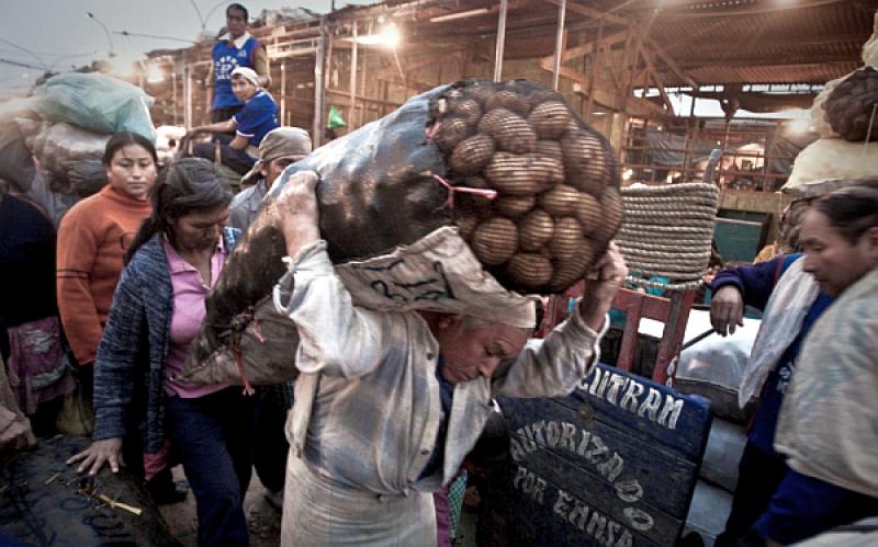 Adiós a los sacos de papas de más de 50 kilos