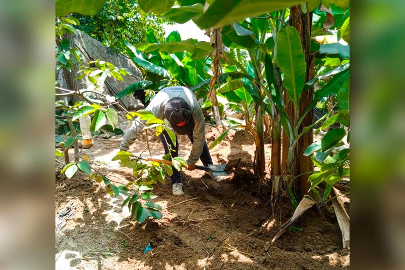 Advierten que el 60% de la producción agrícola en Santa Eulalia está afectada por huaicos