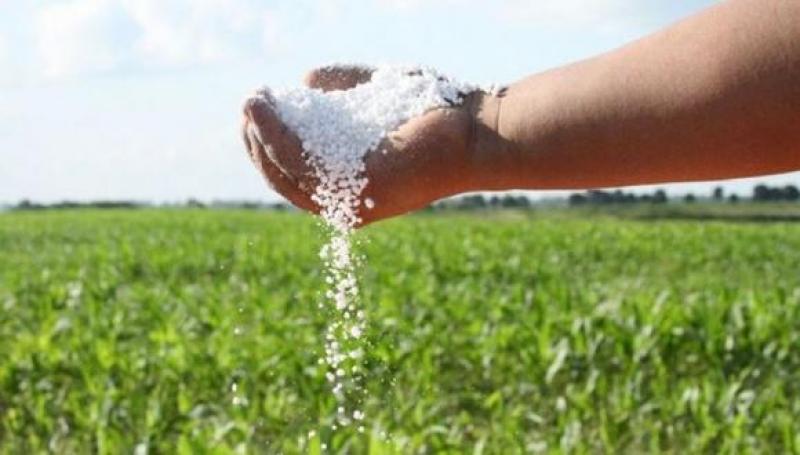 AGAP: Campaña agrícola en peligro por fallidos procesos de compra de urea del Gobierno