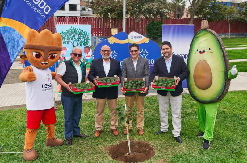 AGAP y ProHass siembran árbol de palta Hass en instalaciones del Proyecto Especial Legado