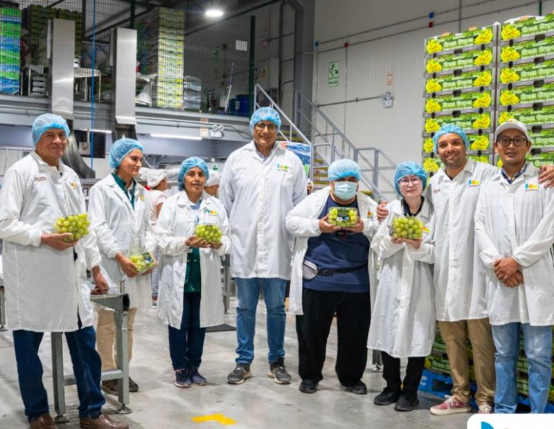 Agrícola Don Ricardo recibe visita de funcionaria del Ministerio de Agricultura de Japón