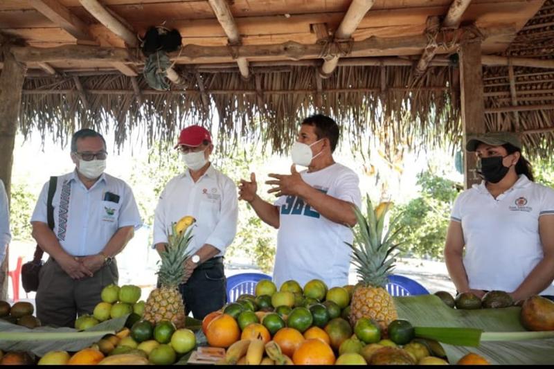 Agricultores de Madre de Dios replicarán los proyectos productivos de San Martín