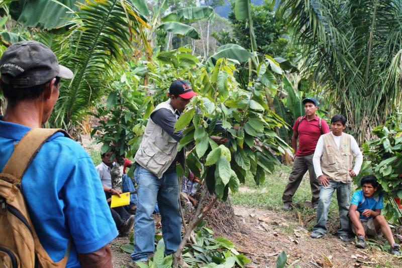 “AGRICULTORES DEL VRAEM DEBEN APROVECHAR HERRAMIENTAS FINANCIERAS”