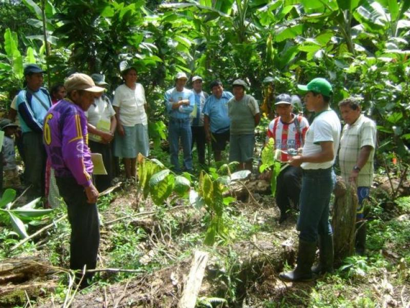 AGRICULTORES ORIGINARIOS TENDRÁN ACCESOS A CRÉDITOS DE AGROBANCO