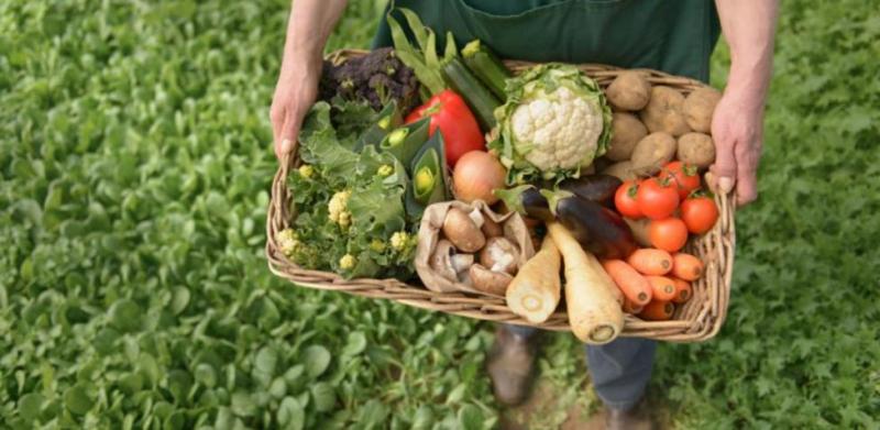 Agricultura agroecológica reduciría un 47%  emisiones de gases de efecto invernadero en  sector agrícola de Europa