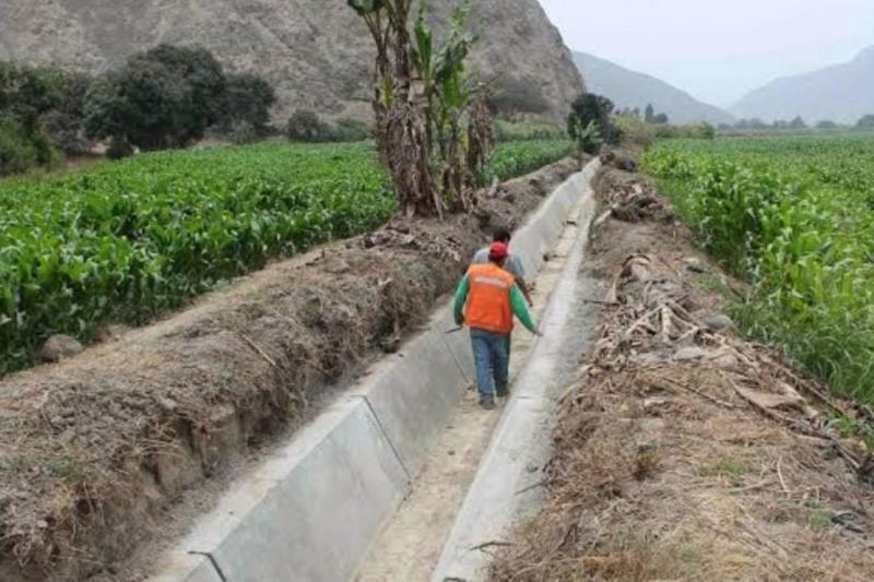 Agricultura destina S/ 275 millones para rehabilitación de canales de regadío