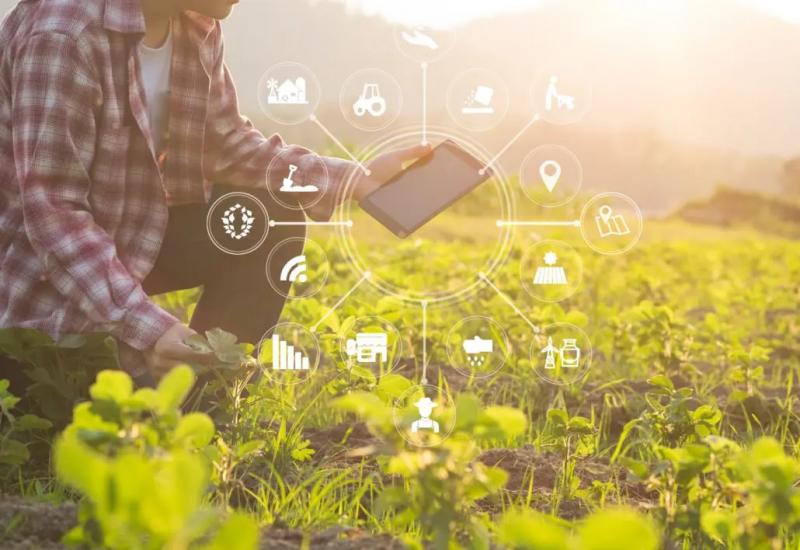 Agricultura orgánica con trazabilidad Blockchain en Perú